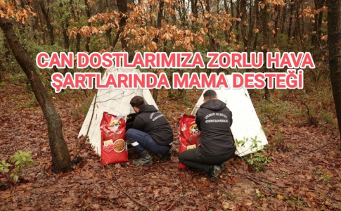 CAN DOSTLARIMIZA ZORLU HAVA ŞARTLARINDA MAMA DESTEĞİ....