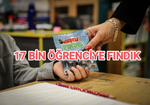 17 BİN ÖĞRENCİYE FINDIK