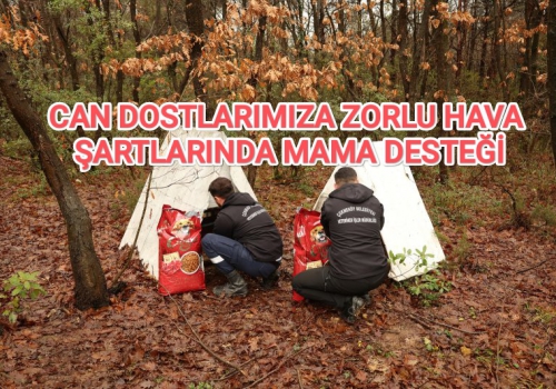 CAN DOSTLARIMIZA ZORLU HAVA ŞARTLARINDA MAMA DESTEĞİ....