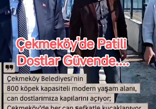 Çekmeköy'de Patili Dostlar Güvende....