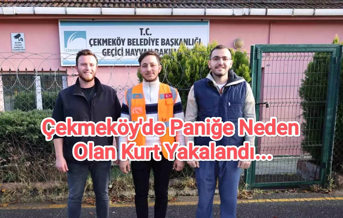 cekmekoey-de-panige-neden-olan-kurt-yakaland